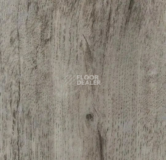 Кварцвиниловые полы Forbo Effekta Intense 41015 P Winter Harvest Oak INT фото 1 | FLOORDEALER